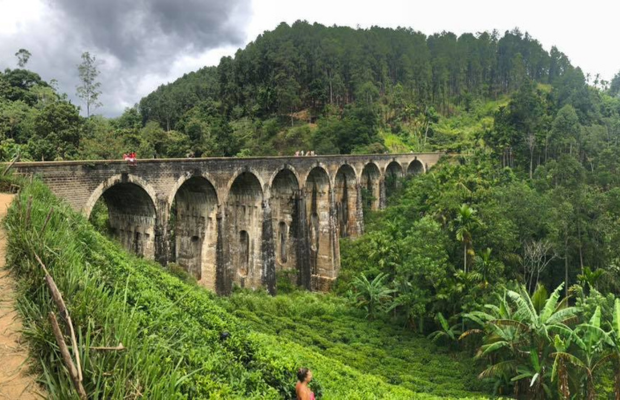 620 pixels placeholder image